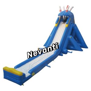 Customized PVC Summer Pool Dual Water Slides for Adult Inflatable Backyard Fun