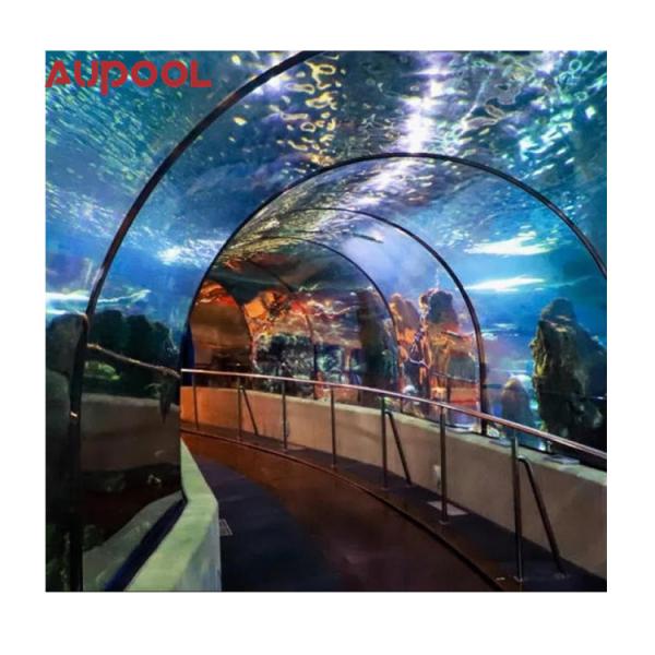 Easy Install 36 Levels Adjustable Wall Mounted Swimming Pool with Acrylicpool