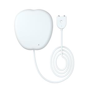 Cheap Smart Home For Amazon Alexa Google Home App Remote Control Voice Commands Smart Wifi Wireless Water Leakage Sensor for sale