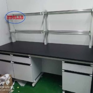 Excellent Customer Service Multiple Cabinets and Wood Materials Chemistry Lab