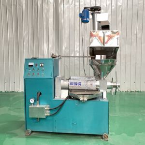 Customized Small Automatic Oil Press Machine For Home Use / 6YL-60