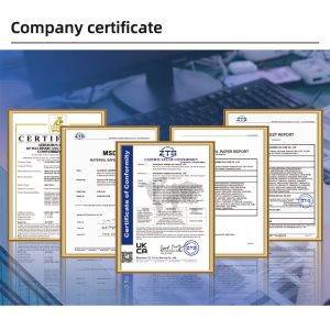 42cm DTF Printer with EPS XP600 Heads and Powder Shaker Roll to Roll Direct to