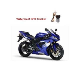 Remote Cut Off Engine Via Relay Automotive GPS Tracker With Anti - Theft Function , CA-V5W