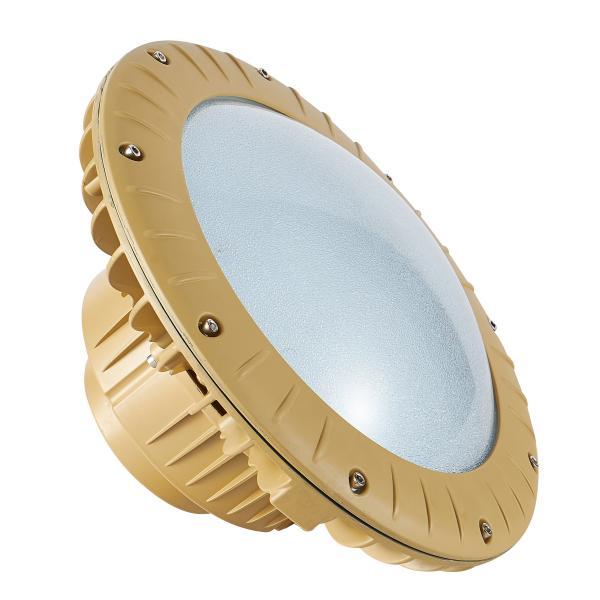 6500K Vapour Proof Led Lights 80W 100W Warehouse Lighting Explosion Proof Work