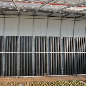 2000.000kg Tomato and Cucumber Cultivation Sunlight Greenhouse Solution with
