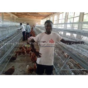 galvanized barbed wire galvanized barbed wire price 250m per roll dutch net metal guardrail enclosure barbed wire tbar stretch tool for barb wire Ce Certificate