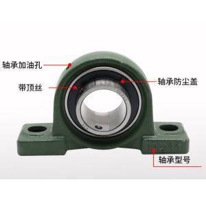 Gcr15 Open Sealed Flange Pillow Block UCPX05 UCPX07 UCPX08 UCPX09 UCP X00 Series