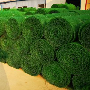 Chinese Design Style Erosion Control Geomat/Planting Mat/Plastic Mesh/3D Geomat