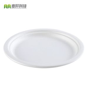 Cheap one time usable plates made of sugarcane bagasse 9inch for sale