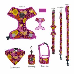 Neoprene Collar Leash Harness Set Moisture Resistant Reversible Dog Harness