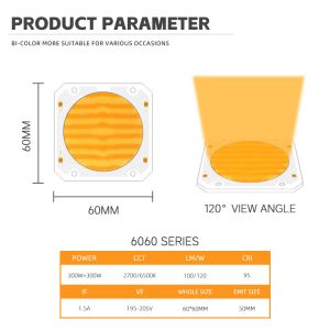High Power Bi Color 300W 6060 Flip Chip Custom Cob Led Chip For Commerical Led