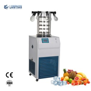 Laboratory Freeze Drying Machine Vials Eggplant Flask Freeze Dryer For