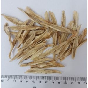 Dehydrated Burdock Strips 2019 new crop