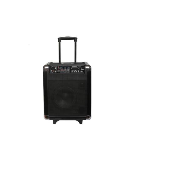 Professional Portable DJ Trolley Speaker Audio BT Battery Speaker With Disco