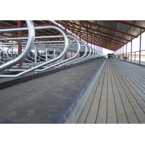 Hot Dip Galvanized Cattle Stall With Bovine Jugular Track , Clamp , Bolt