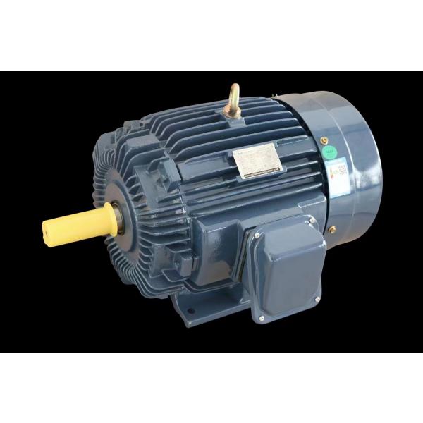 Quality Industrial Three-Phase Induction Motor IP55 Protection F Level wholesale
