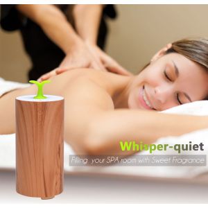 Portable Aromatherapy Nebulizer