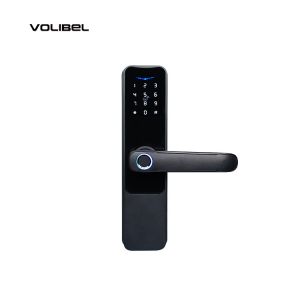 5VDC TTlock Smart Lock Biometric Keyless Smart Door Lock Wifi App Control