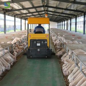 Hot Sale Prefabricated Light Structure Structure Prefab Poultry House Design