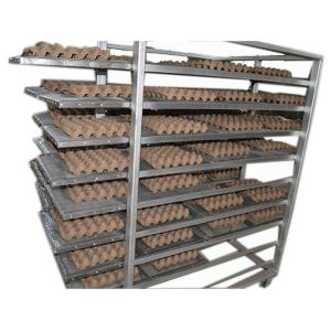 apple fruit tray processing machinery(FC-ZMW-4)