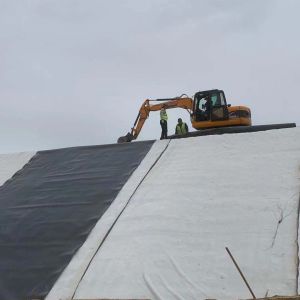 1-6m Width Impermeable Geomembrane for Industrial Design Style Fish Pond