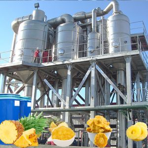UHT Sterilizing Juice Pineapple Processing Line 1500T/Day
