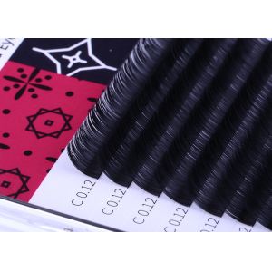 Volume 0.12MM Flat Eyelash Extensions , Ellipse Flat Lashes Synthetic Fiber