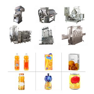 Fully Automatic Vegetable Complete Juice Processing Unit Stainless Steel
