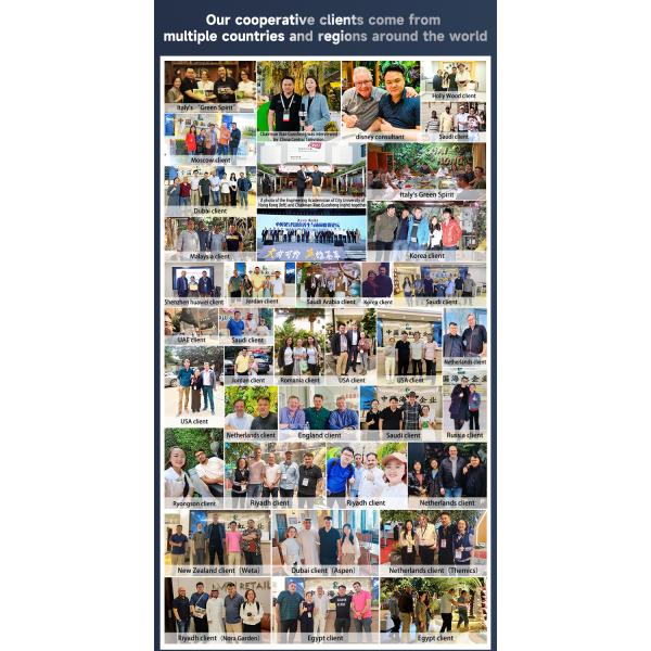 Haihong Artificial Palm Trees UV Resistant Large Fake Tropical Date Palm Tree Coconut Palm for Airport Outdoor Decoration