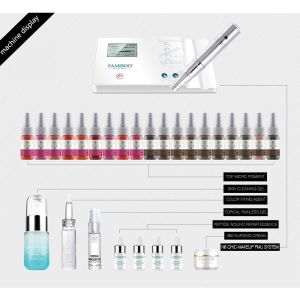 Complete Permanent Makeup Tattoo Machine Kit , Permanent Makeup Set