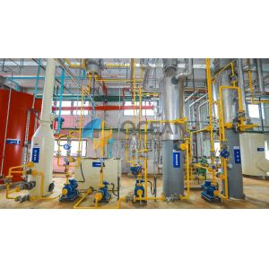 Low Temperature Cold Pressing Equipment Peanut Oil Seeds Processing
