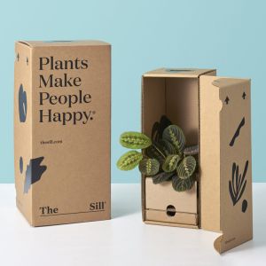 Custom Corrugated Cardboard Plant Shipping Box Packaging Plant Boxes For Plants