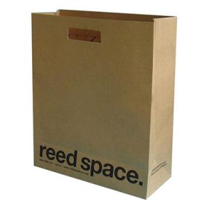 China Printed kraft Paper Gift Bags With Die Cut Handle ISO 9001 on sale
