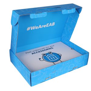 Cheap Rectangle Cardboard Monthly Subscription Packaging Box With Customized Printing for sale