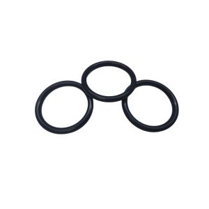 HONSEAL FFKM O Rings from Dowhon Group: Elastor FFKM O Ring for Automotive