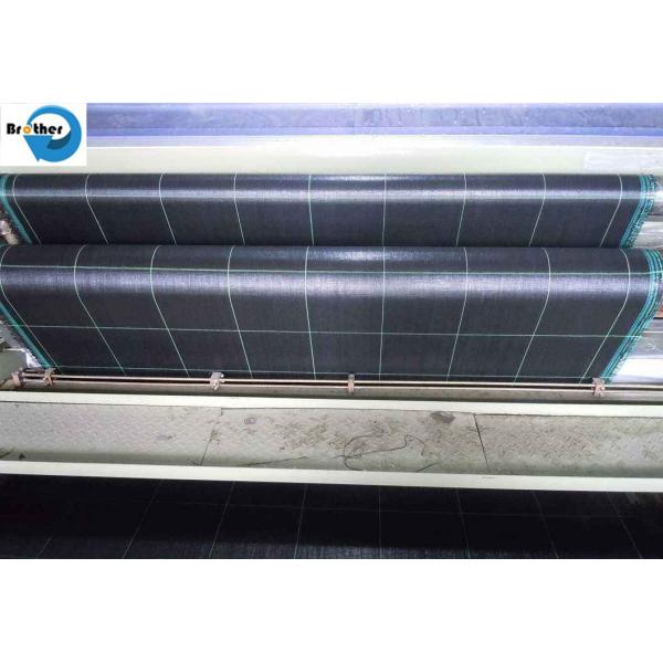 Black/Green/White PP/PE/Plastic Woven Weed Control Geotextile/Fabric for