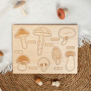 2 To 4 Years Mushroom Cognition Board Baby Developmental Exercises Hands On