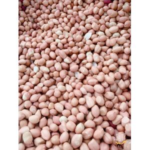 CCD LED Peeled Peanut Nuts Color Sorter 5 Chutes 320 Channels