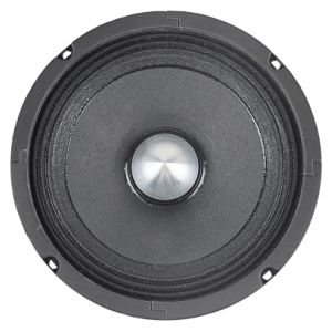 10"midrange slim neodyminum speaker MG10NF, impedence:4 ohms, 200Wrms, 2'' voice