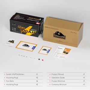 Deep Cycle Lifepo4 Lithium Ion Battery