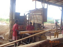 Saw machines woodworking wood cutting vertical band sawmill with log carriage