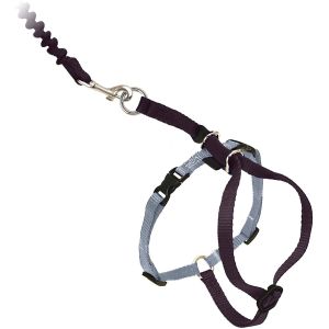 Adjustable Nylon Cat Harness Collar With Bungee Leash
