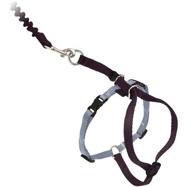 Quality Adjustable Nylon Cat Harness Collar With Bungee Leash wholesale