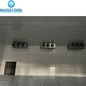 Online Service for Walk-in Modular Cool Chiller Cold Storage Freezer Room
