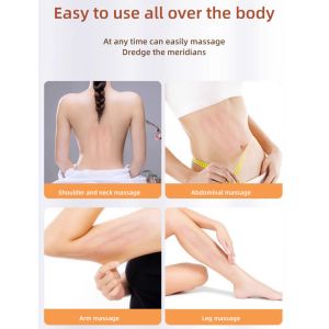 Inner Ball 8D Endosfera Face Roller Therapy Massager Slimspheres Cellulite