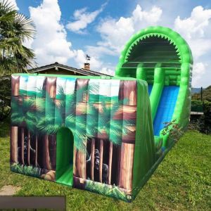 Residential Occasion Inflatable Slide for Children's Water Play Customized Color