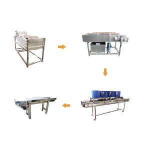 Full Automatic Vegetable Processing Equipment Fruit Processing Line