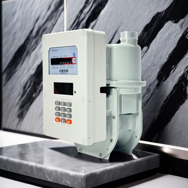 Quality LAN / WAN Prepaid Gas Meter with Self-routering Meshwork Connection Type PLC To Concentrator wholesale