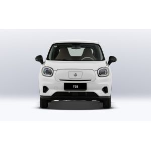 Leapmotor T03 2025 310 Comfort Edition and Swing Door Opening Mode