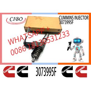 Cummins N14 engine common rail fuel injector 4307795 3073995F 3083846 3083622